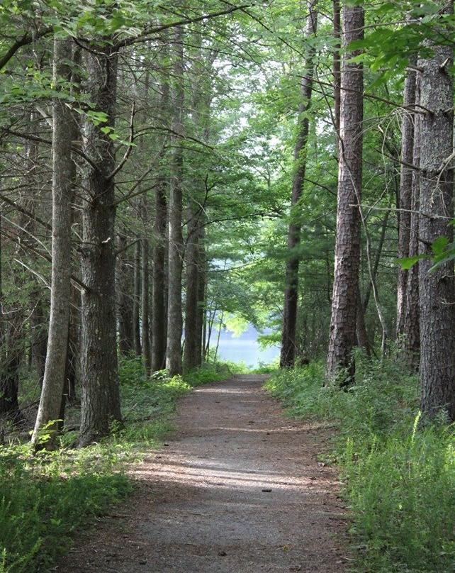 Cherokee National Forest-Elizabethton必去景点