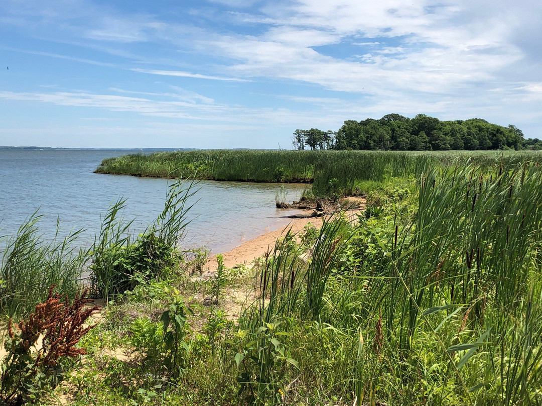 Hart-Miller Island State Park景点图片