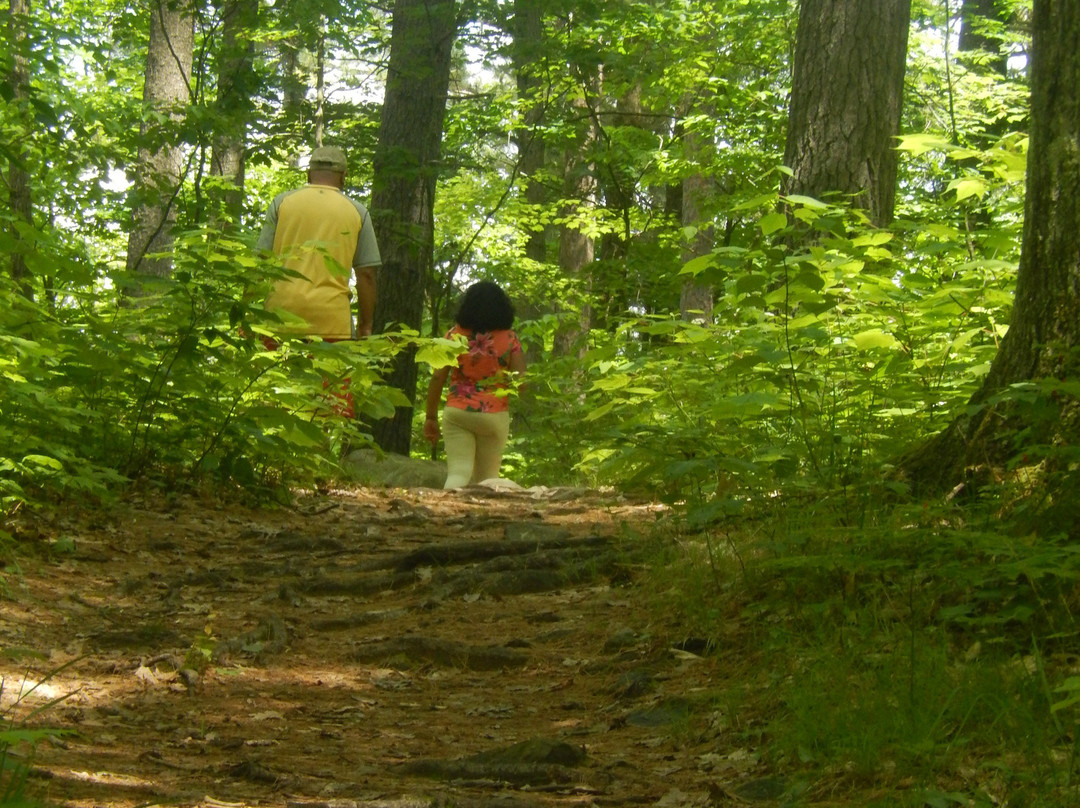 Bon Echo Provincial Park-Cloyne必去景点