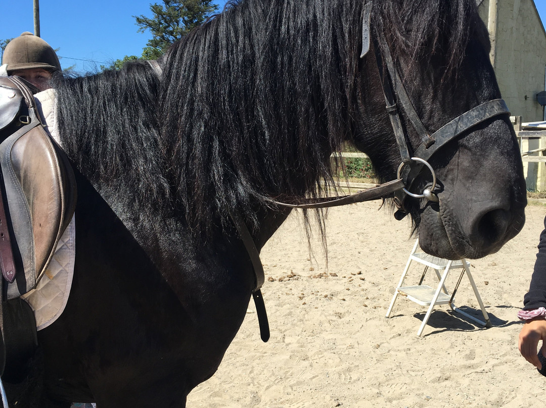 Cleggan Beach Riding Center - Horseback riding on the beach景点图片