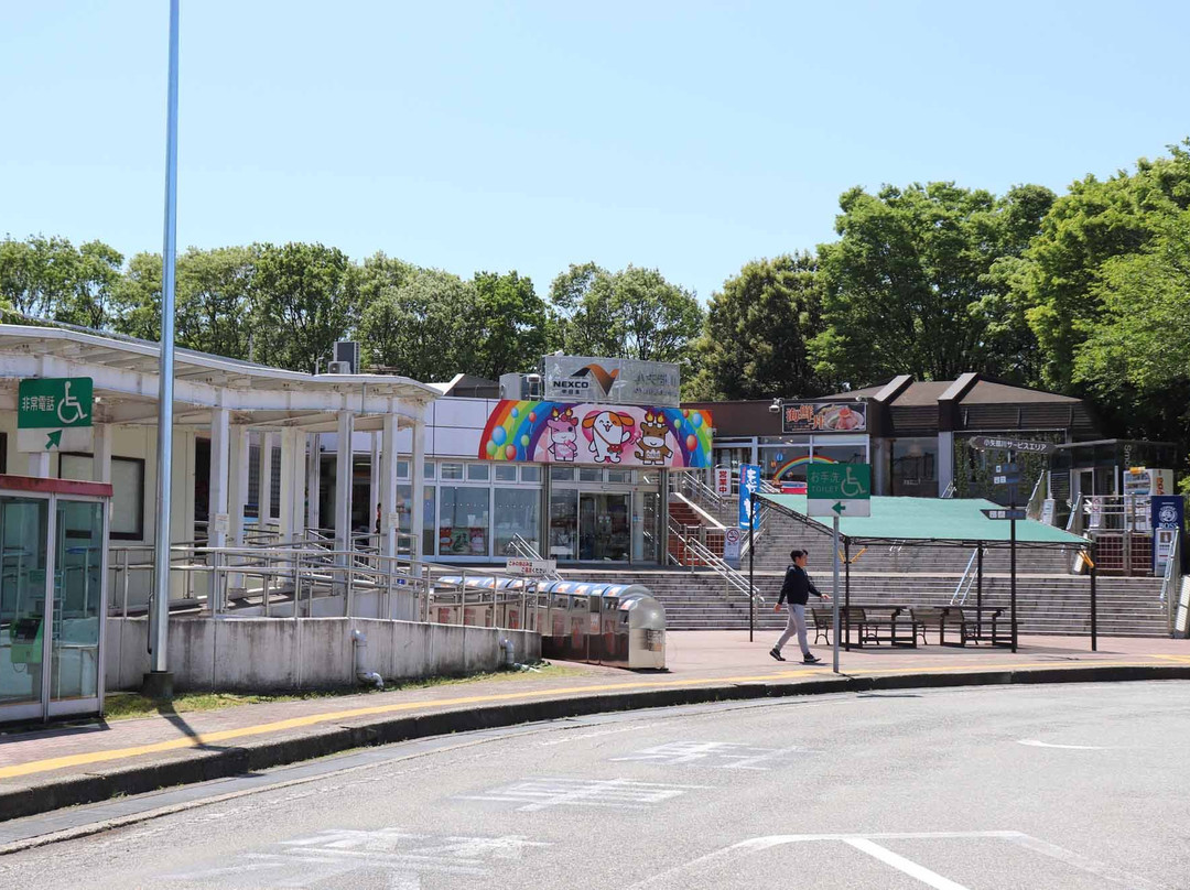 Oyabegawa Service Area Inbound-小矢部市必去景点