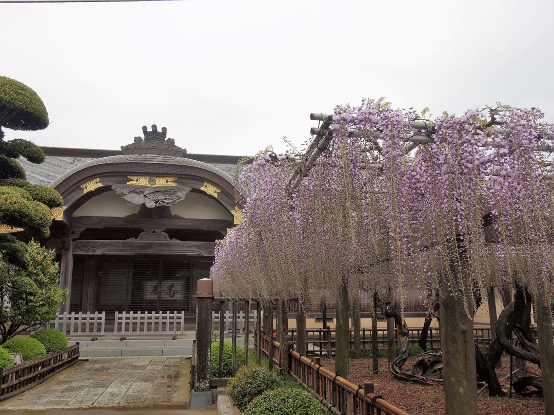 Myofuku-ji Temple景点图片