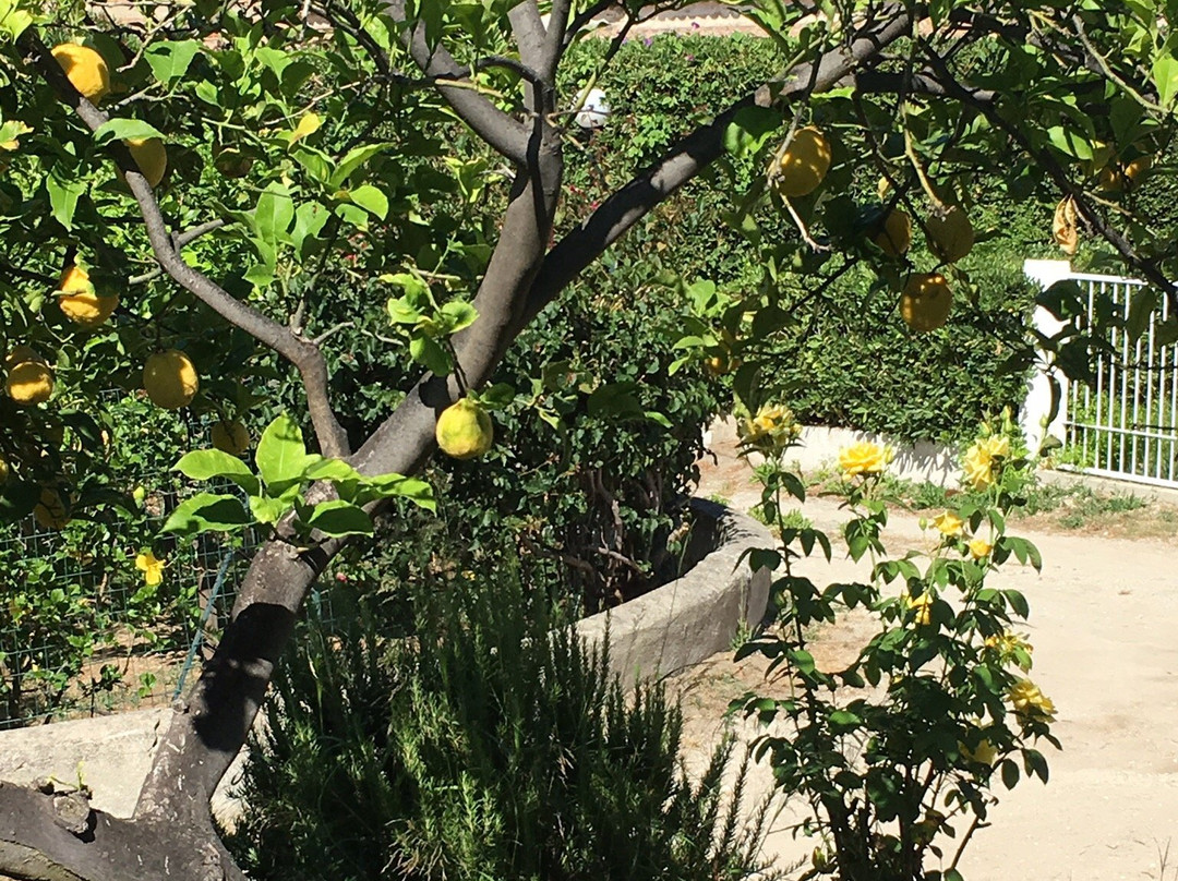 B&B A Casa di Picci主图