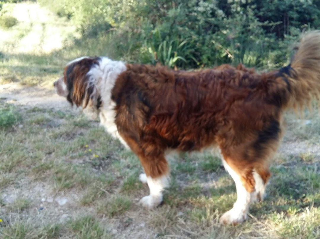 Domaine de Pierravon主图