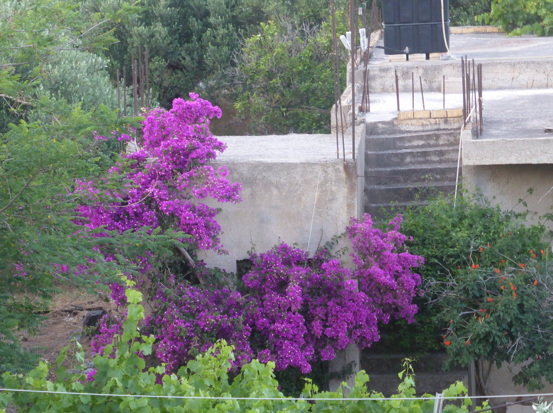 Elounda Garden Suites Heated Pool主图