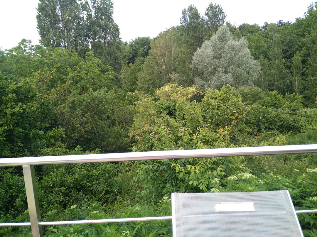 Les Secrets de Tifayne主图