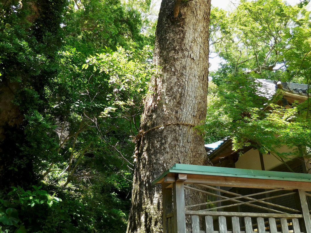 Kumano Sansho Shrine景点图片