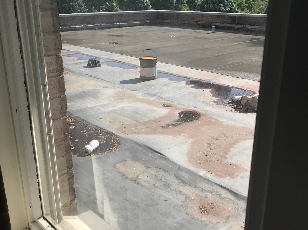 斯坦福希尔顿恒庭旅馆&套房酒店主图