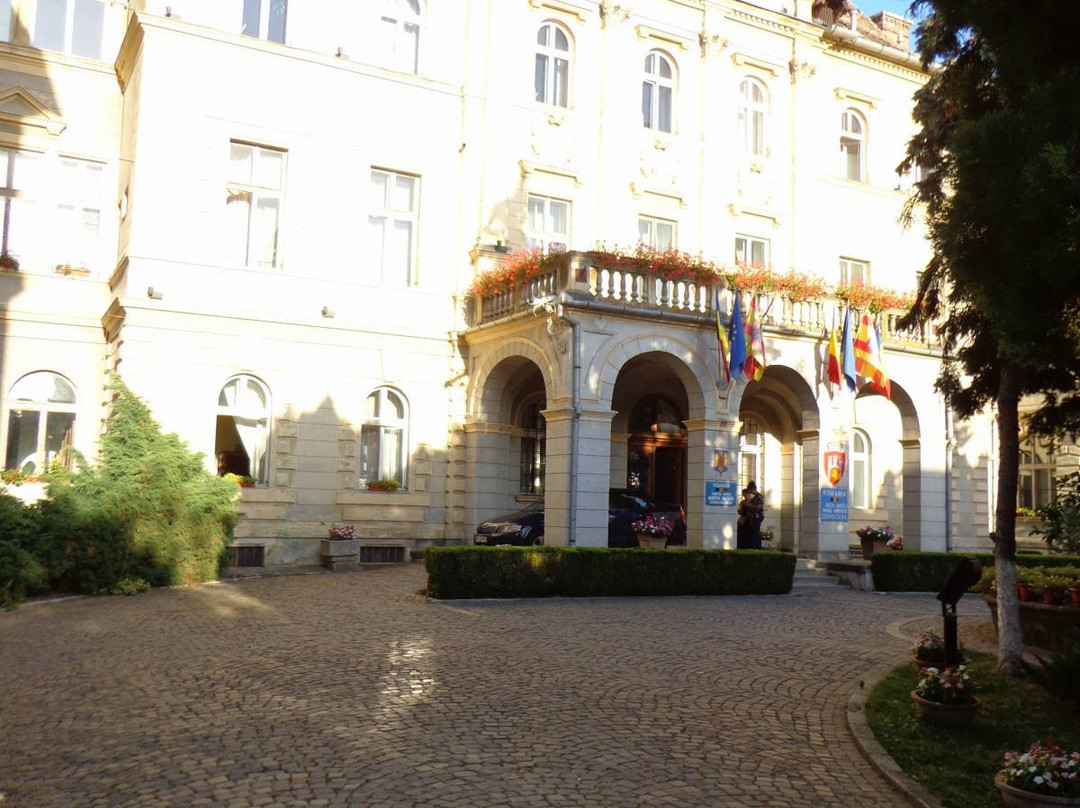 Ayuntamiento de Sighișoara景点图片