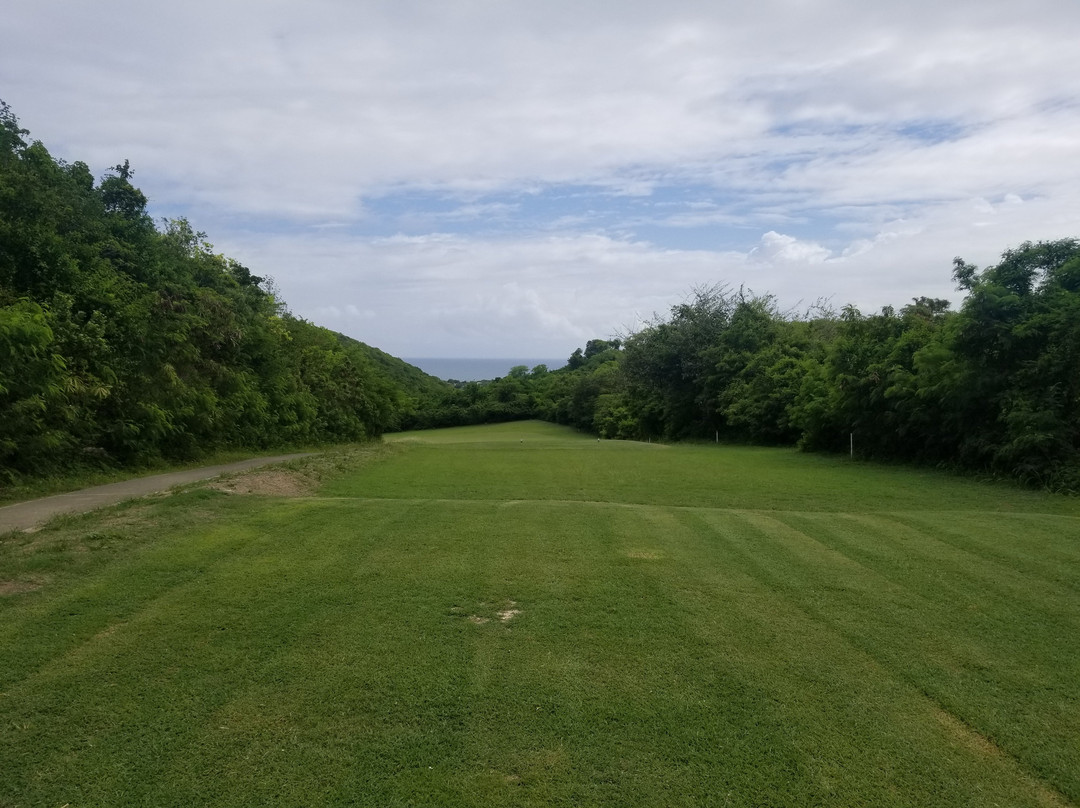 Cedar Valley Golf Club景点图片