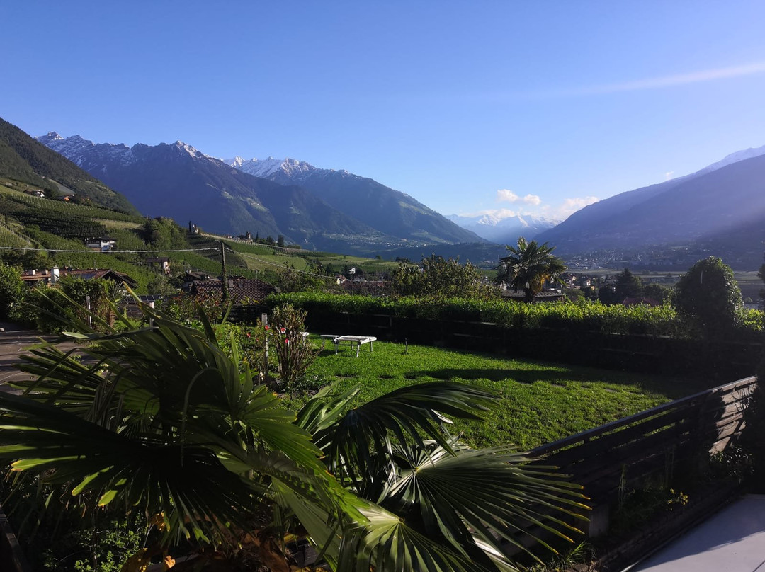 Paulus Coffee & Rooms主图