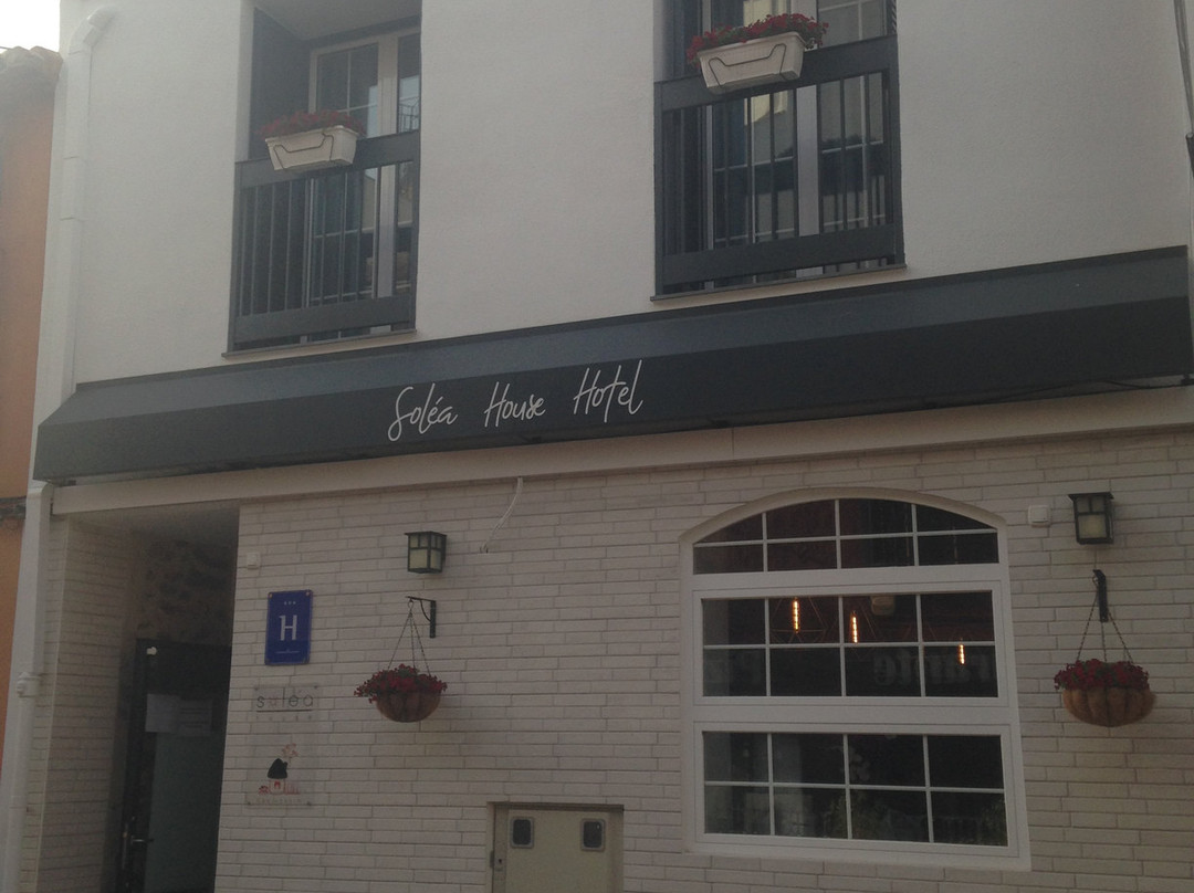 Solea House主图