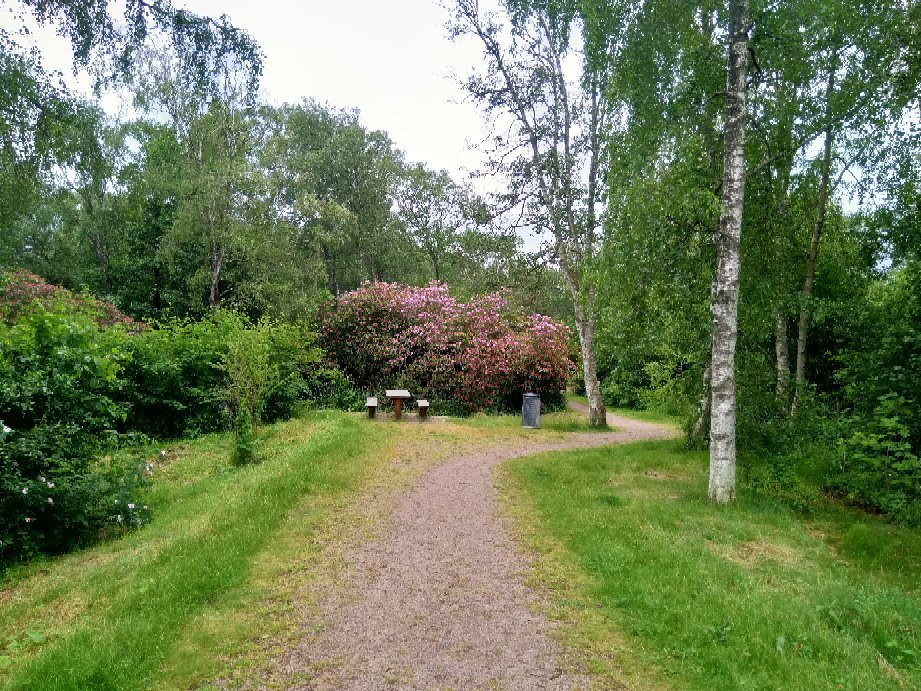 Rhododendronparken-哈姆斯塔德必去景点