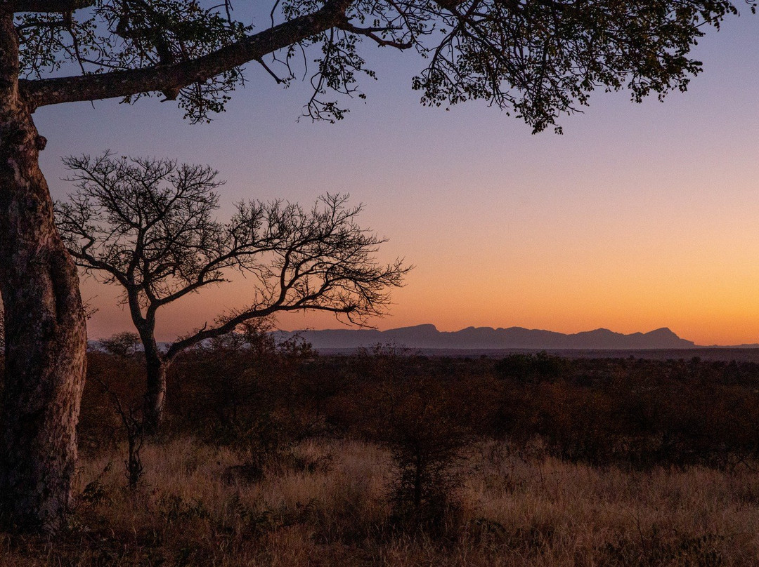 Ivory Wilderness River Rock Lodge主图