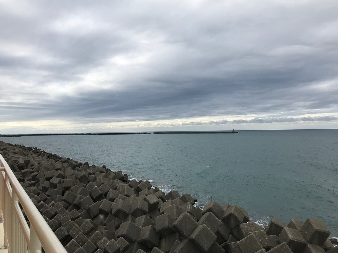 Japan Sea Observation Deck景点图片