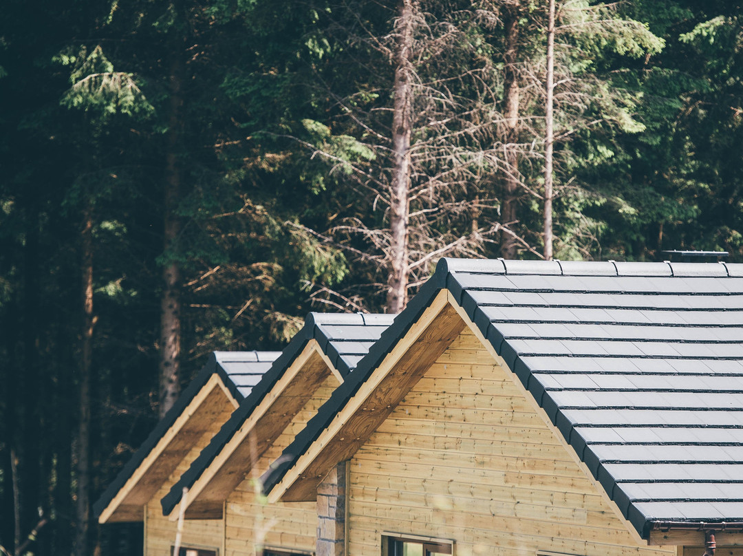 Center Parcs Longford Forest