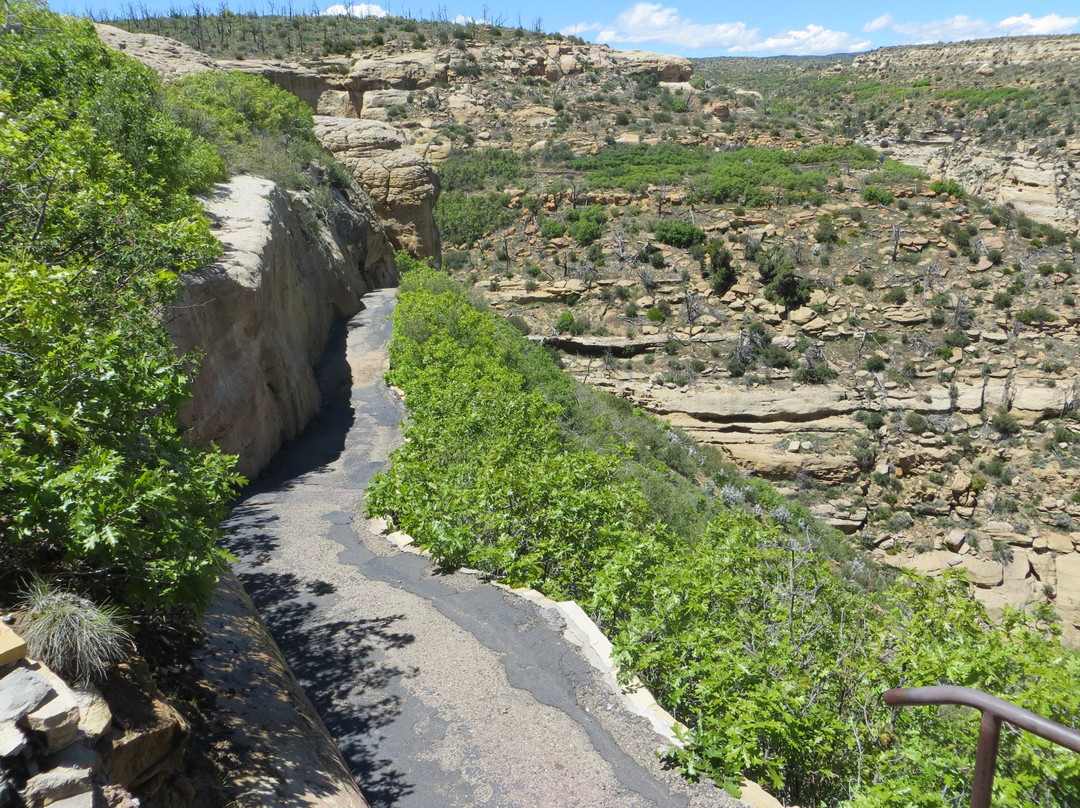 Step House-梅萨维德国家公园必去景点