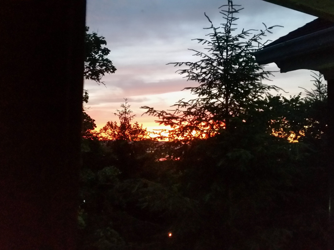 Tarrytown House Estate主图