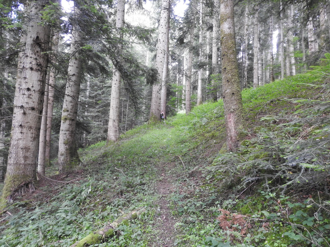 Chambres d'hôtes La Dordorette主图