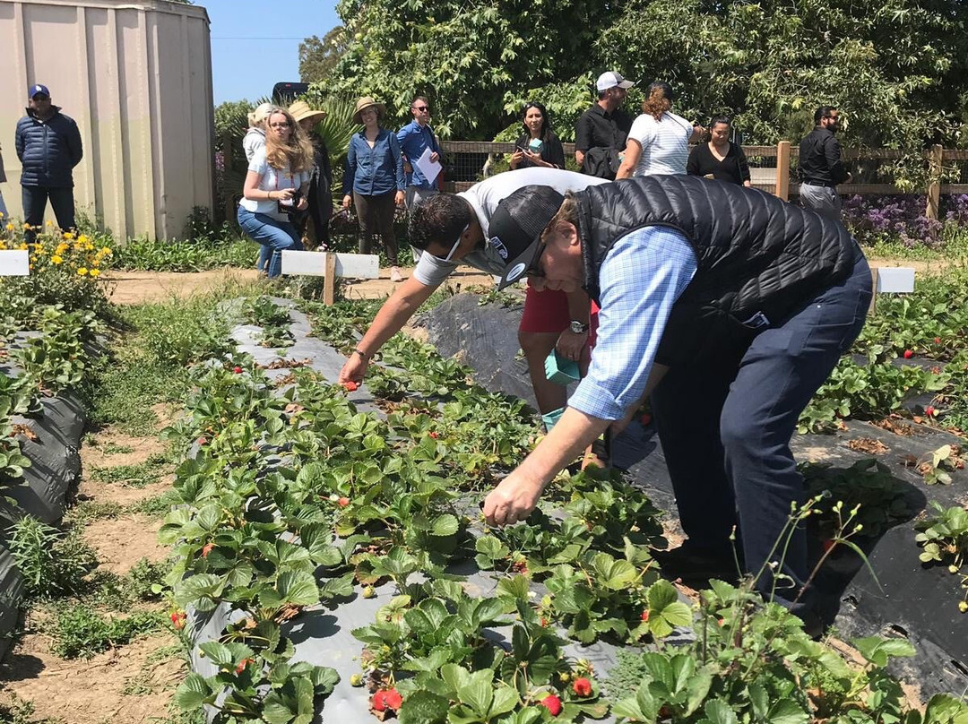McGrath Family Farm-卡马里奥必去景点