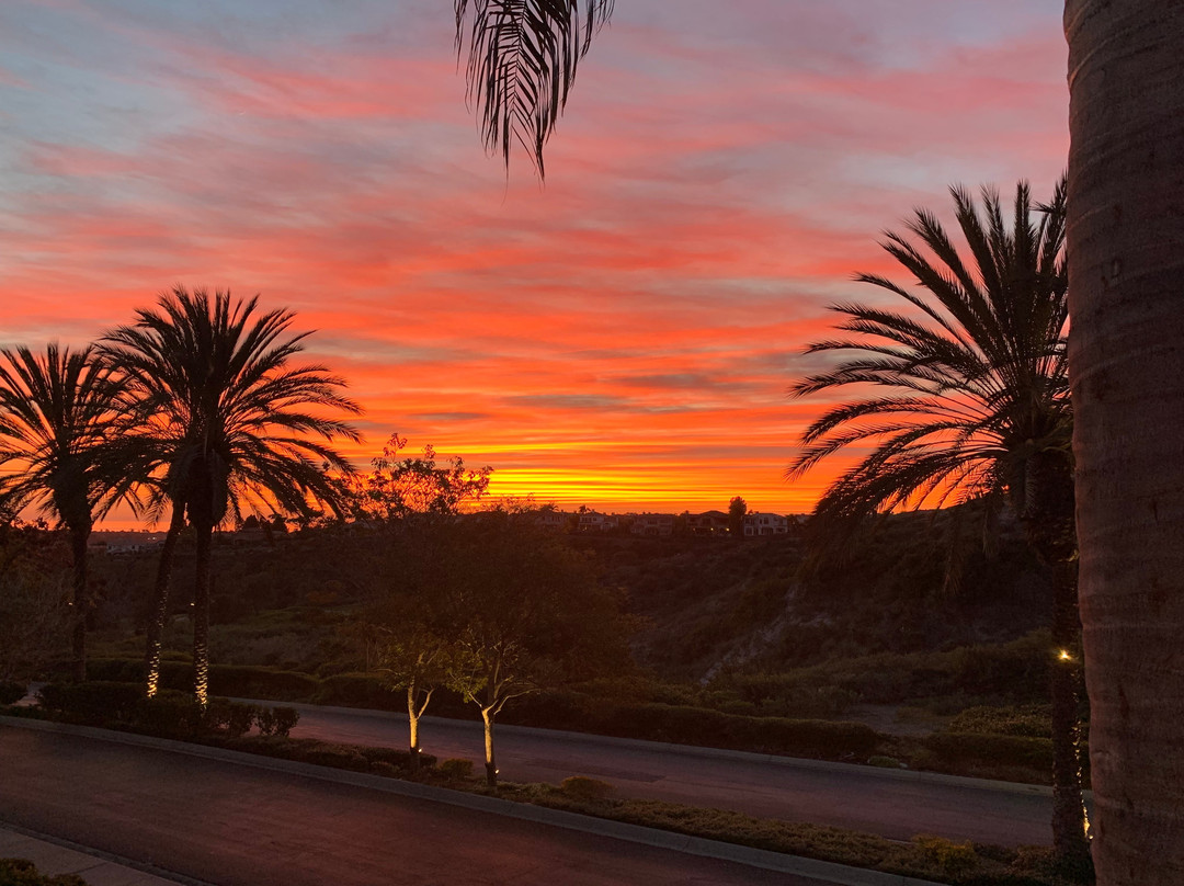 Four Seasons Residence Club San Diego, Aviara主图