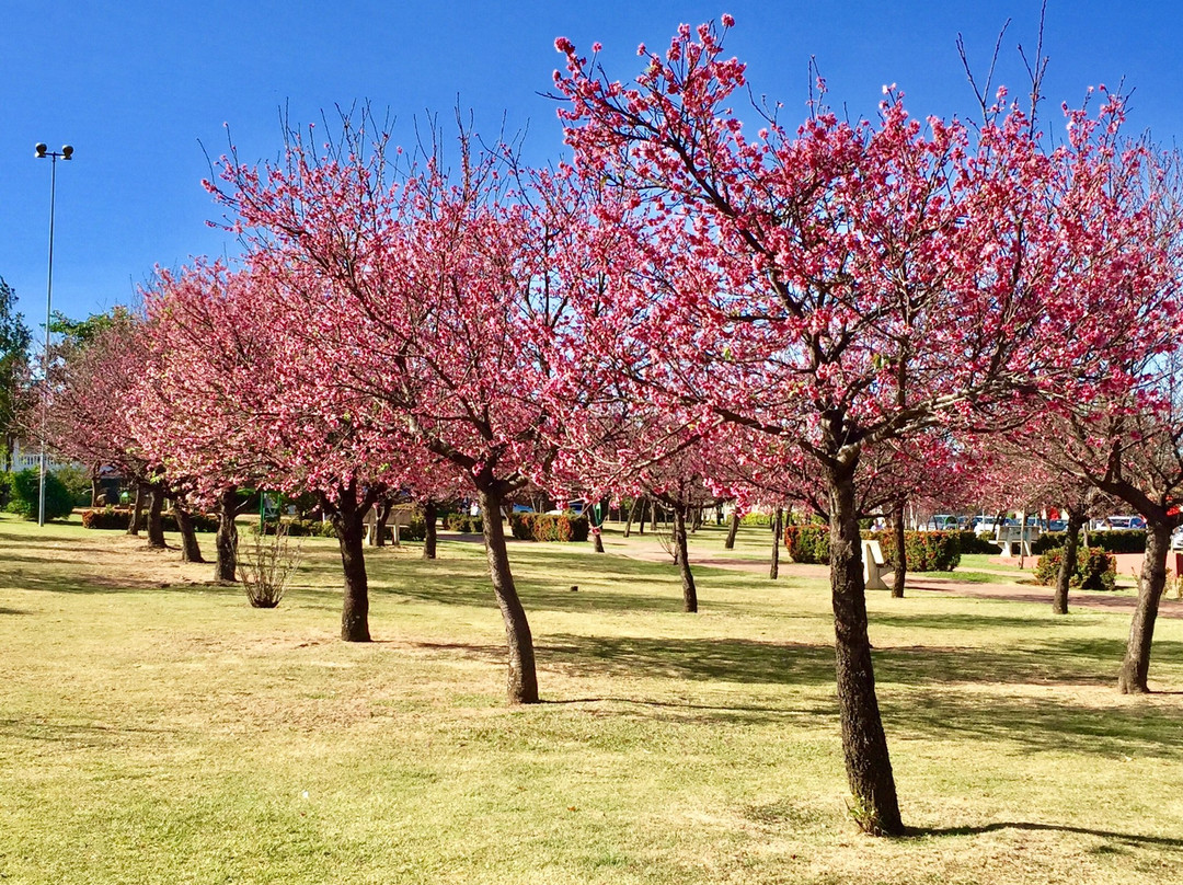 Praça Roque Torce Filho-因达亚图巴必去景点