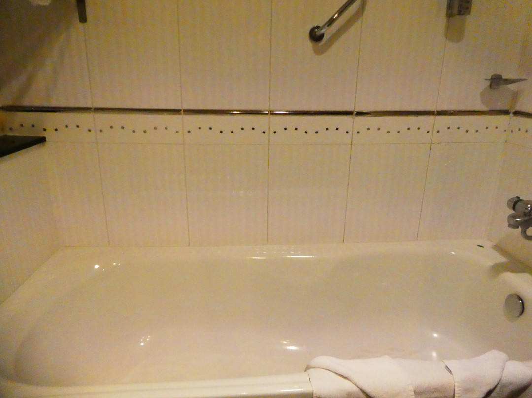 The Connacht Hotel主图