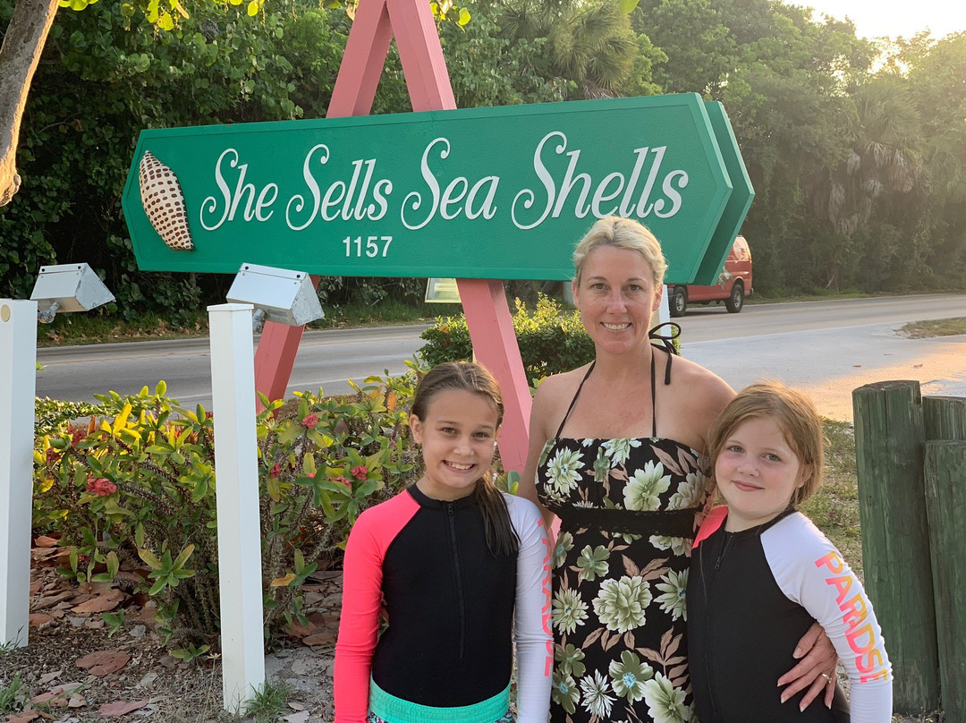 She Sells Sea Shells景点图片