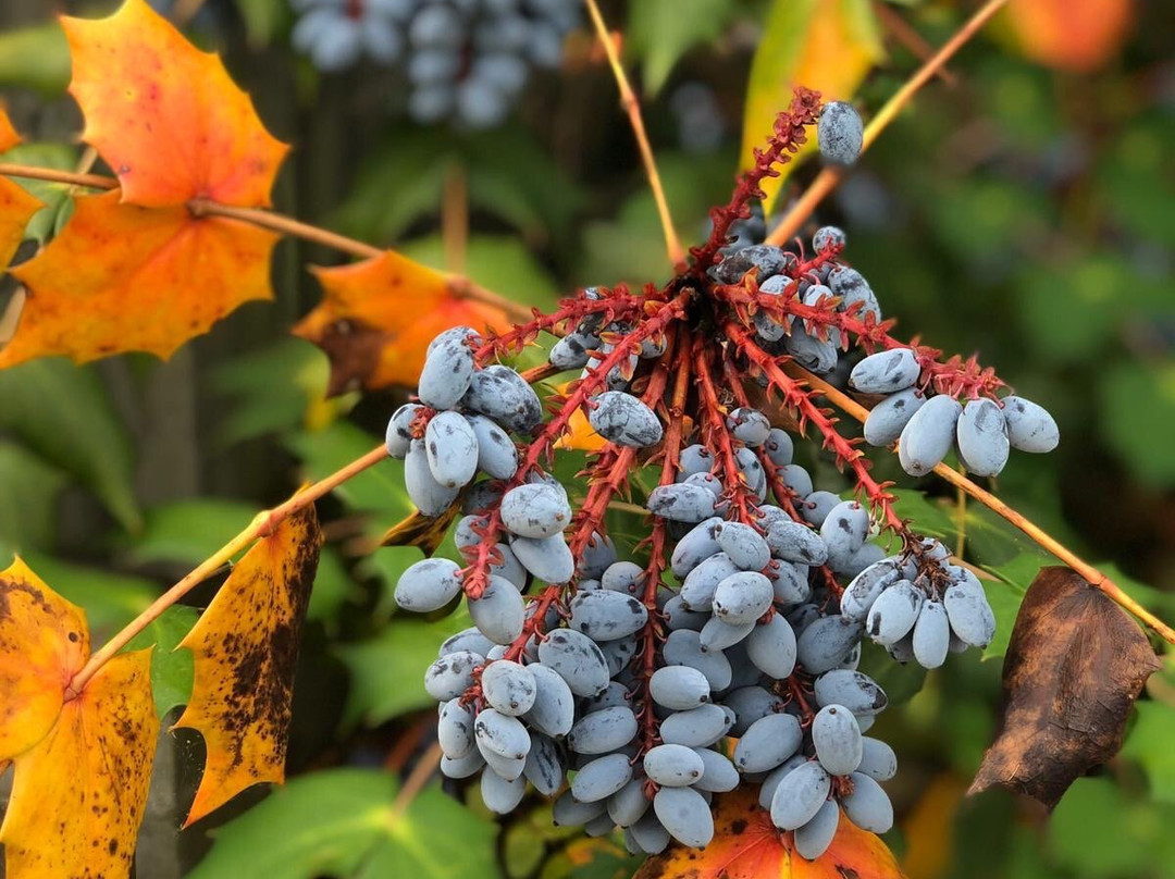 J.Q. Dickinson Salt-Works-Malden必去景点