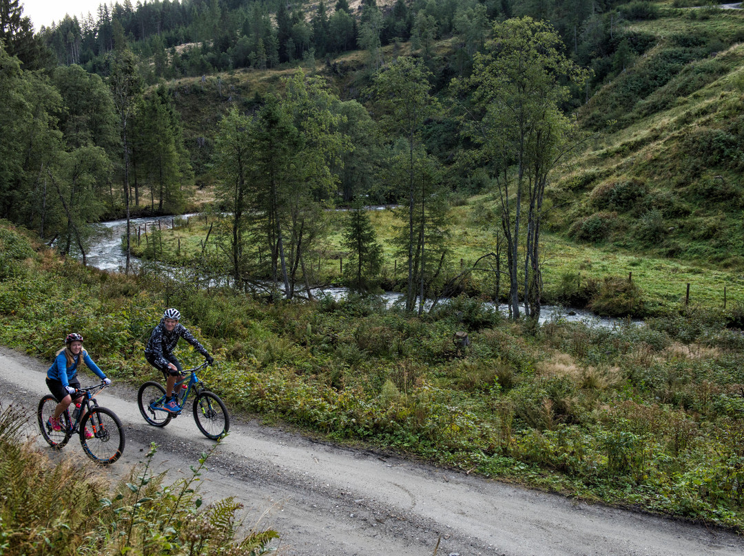 Bikeguide Zillertal-芬肯山必去景点