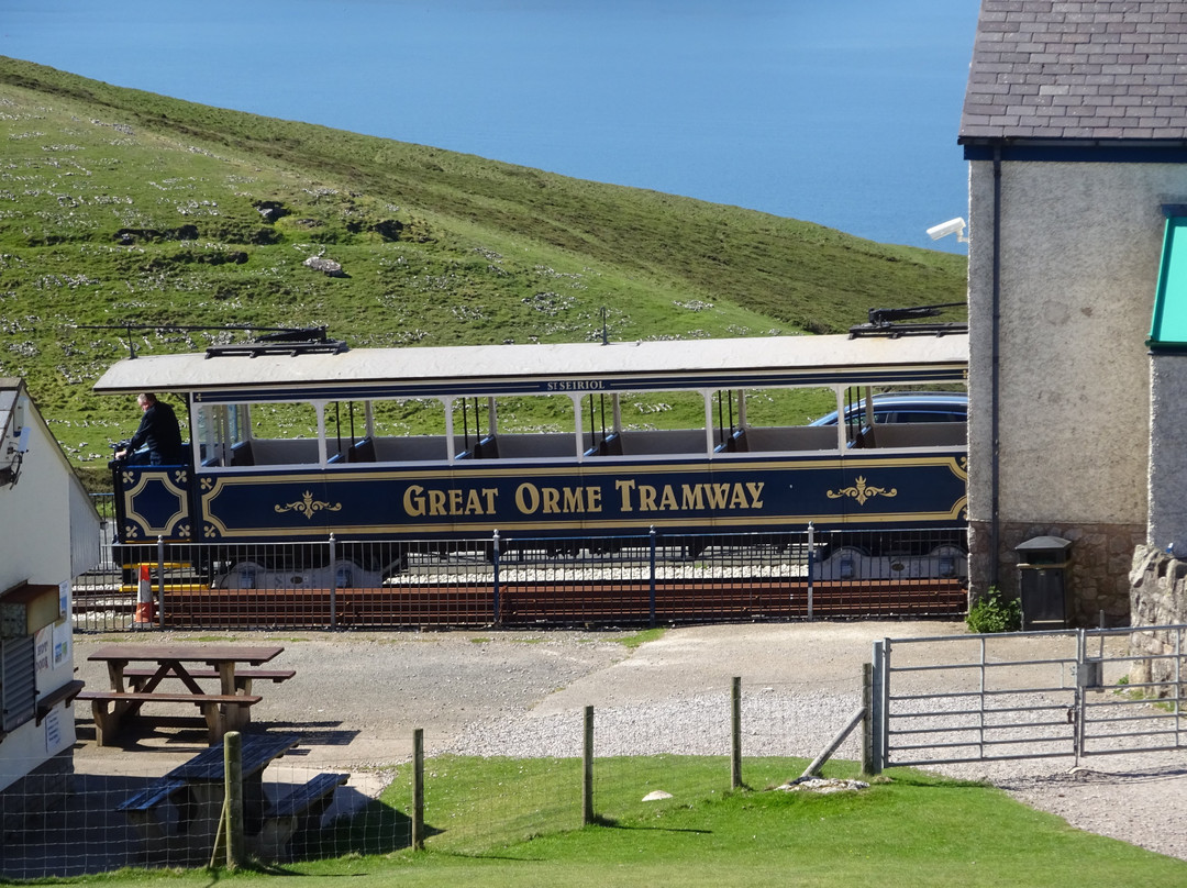 Great Orme Visitor Centre景点图片