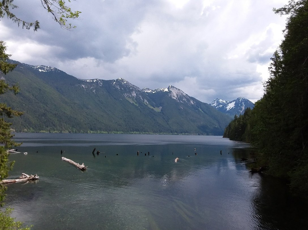 Chilliwack Lake Provincial Park景点图片