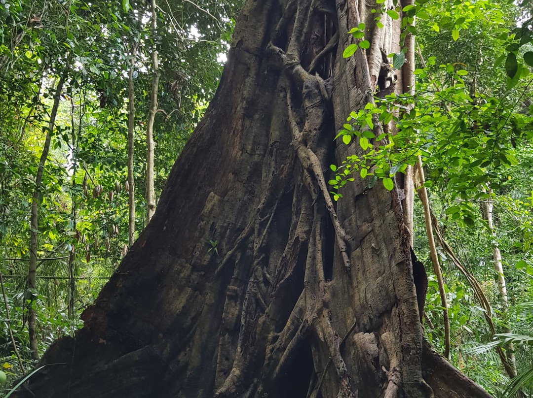 Ton Sai Waterfall-Thep Krasattri必去景点