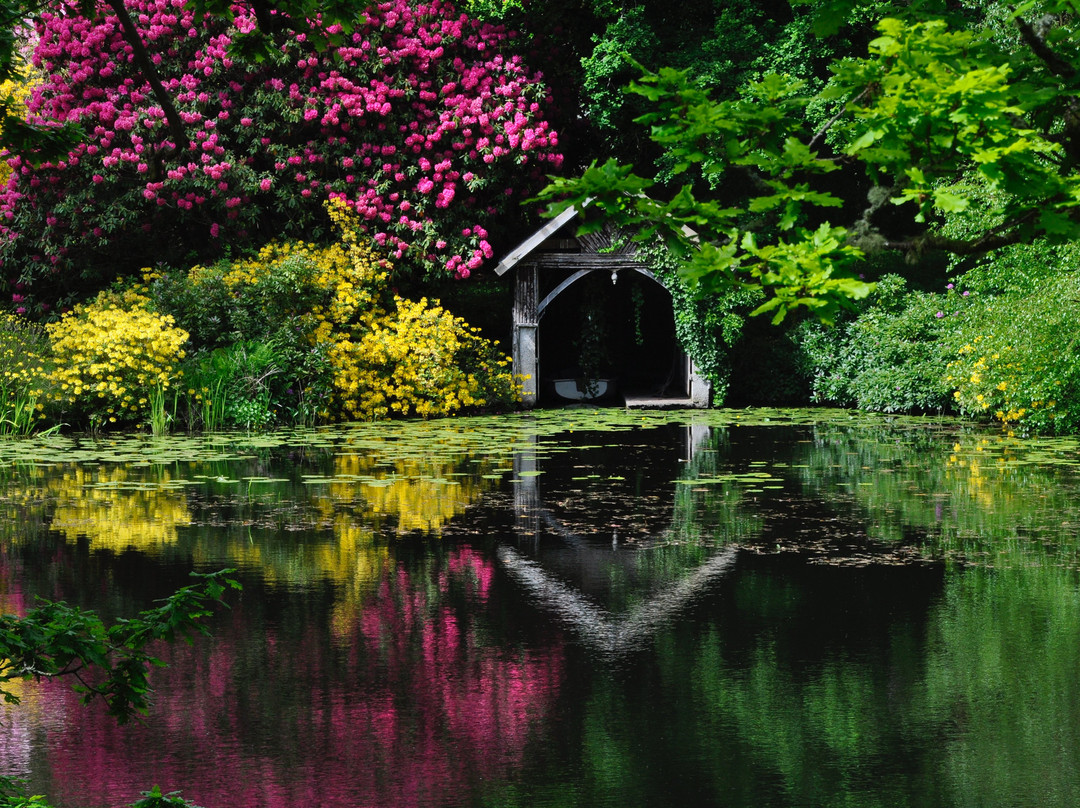 Bargany Gardens景点图片