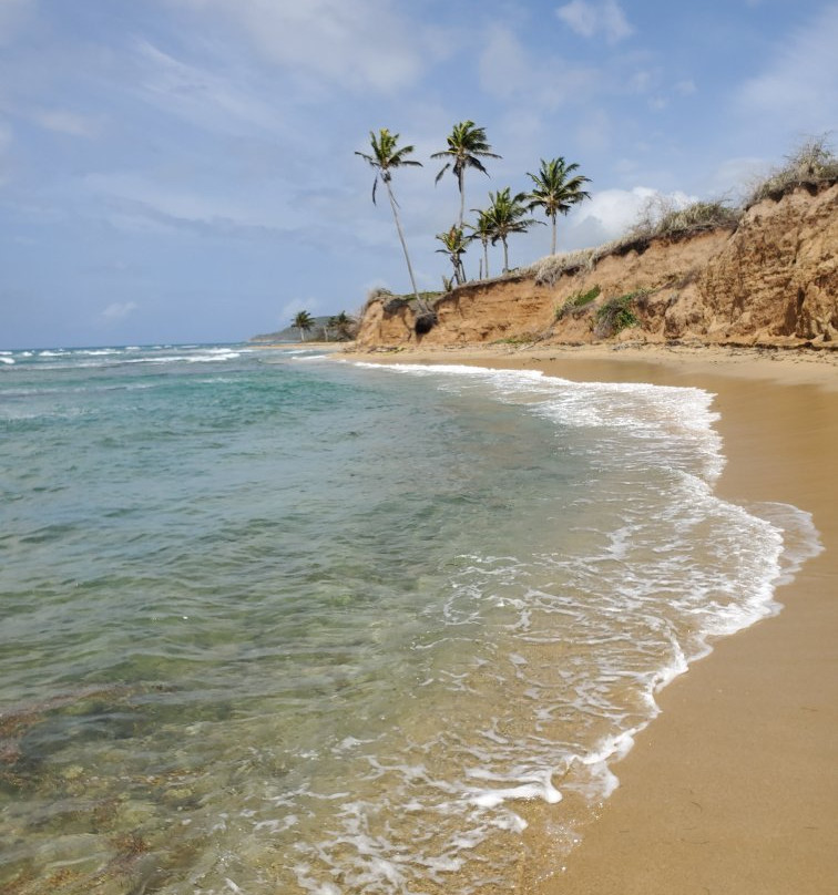 Jurutungo Farm-Florida必去景点