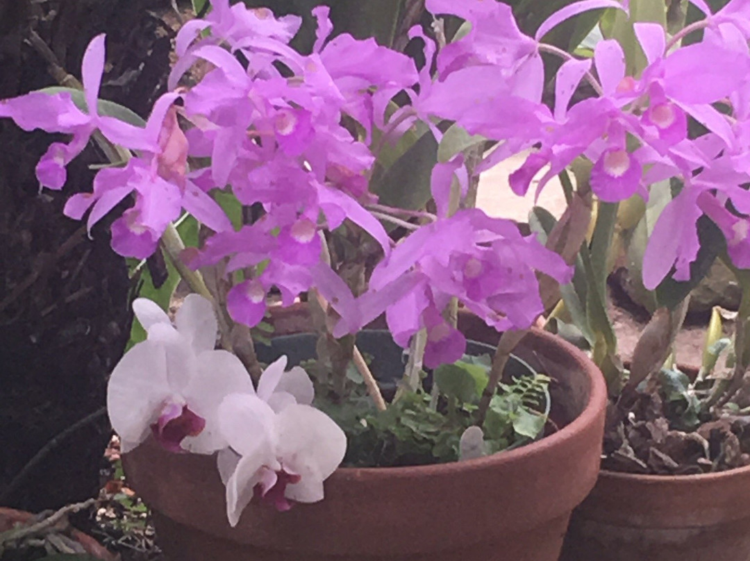 Garfield Park Arts Center-印第安纳波利斯必去景点