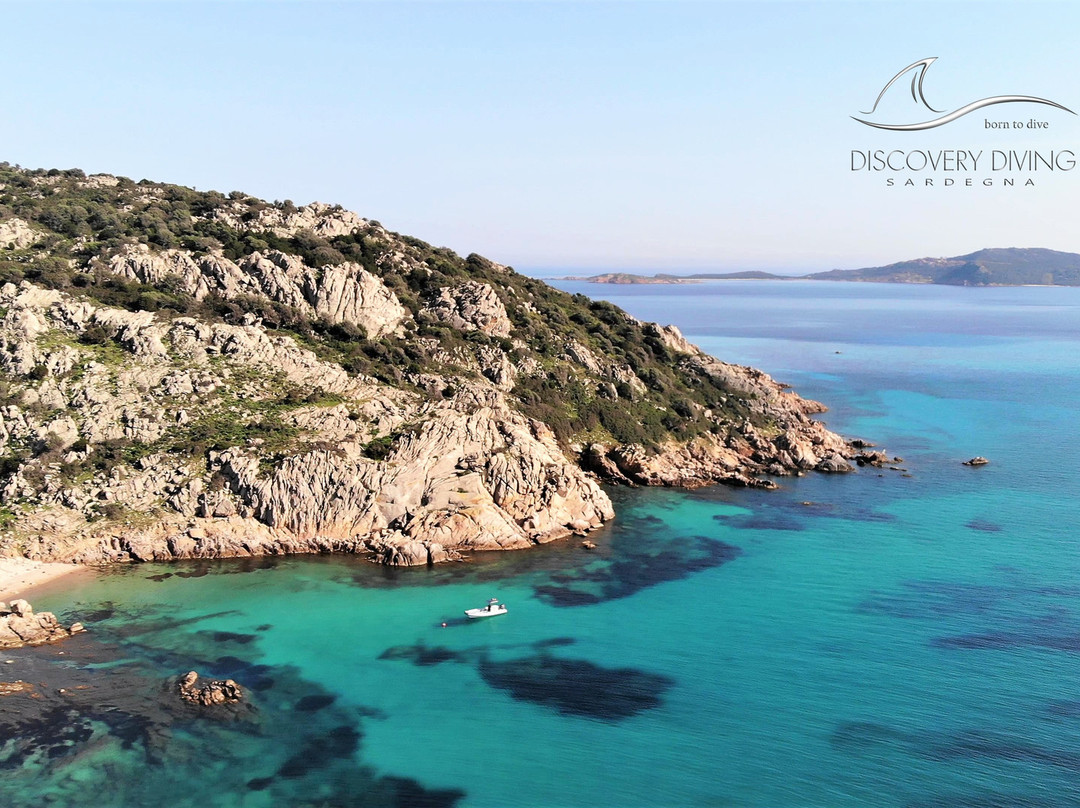 Discovery Diving Sardegna景点图片