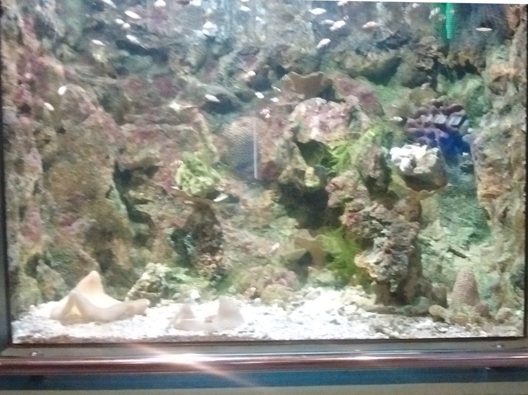 Rayong Aquarium景点图片