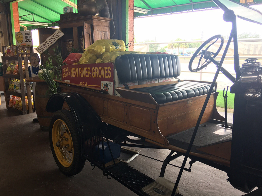 Bob Roth's New River Groves-戴维必去景点