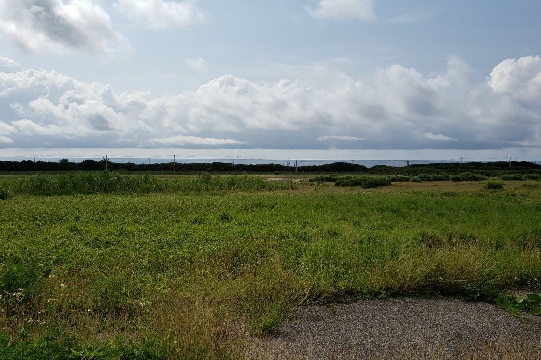 Cape Takanazaki景点图片
