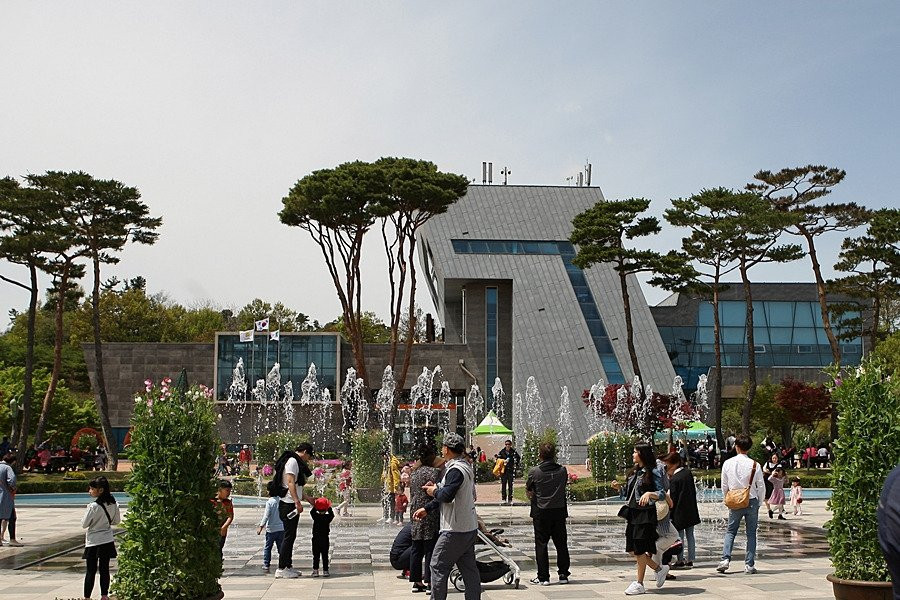 Hampyeong Butterfly Festival-咸平郡必去景点