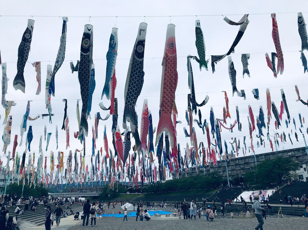 Akutagawasakurazutsumi Park-高规市必去景点