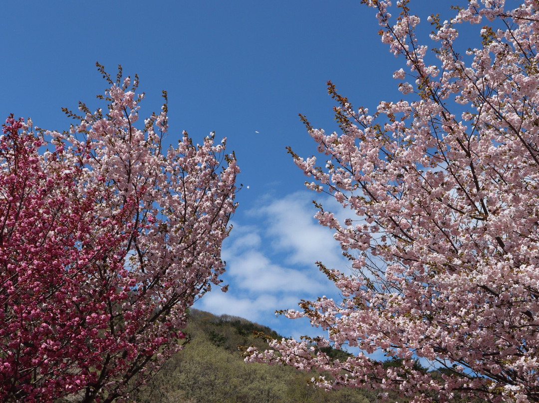 Jupia Land Hirata-平田村必去景点