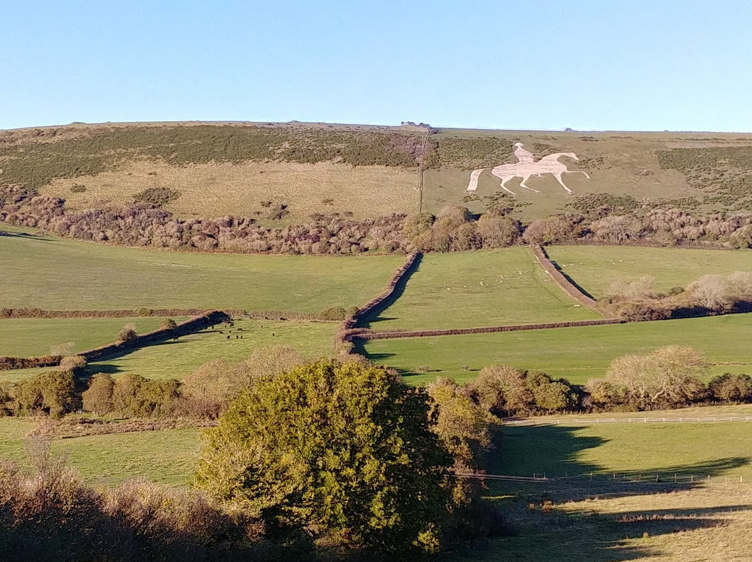 Osmington White Horse景点图片