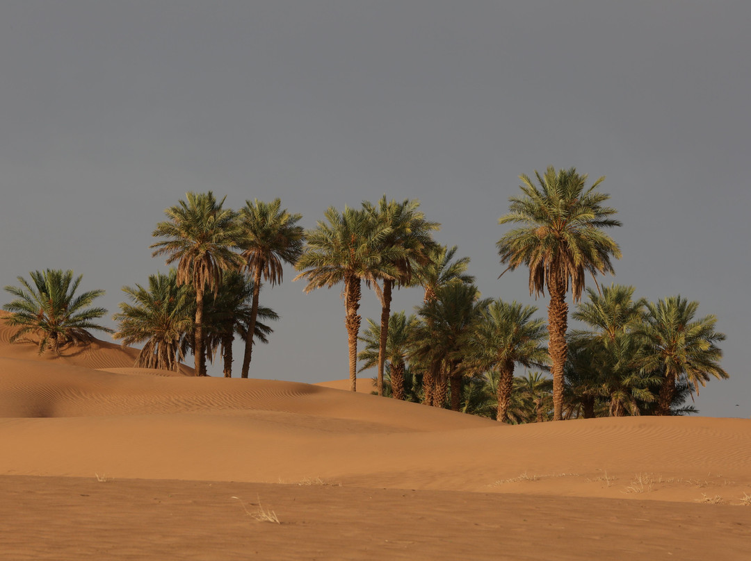 desert morocco discovery