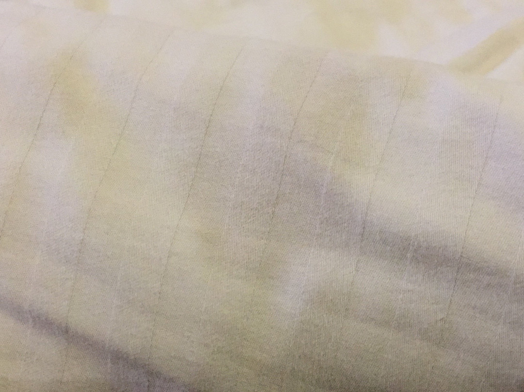 Palette - Pluz Resort主图