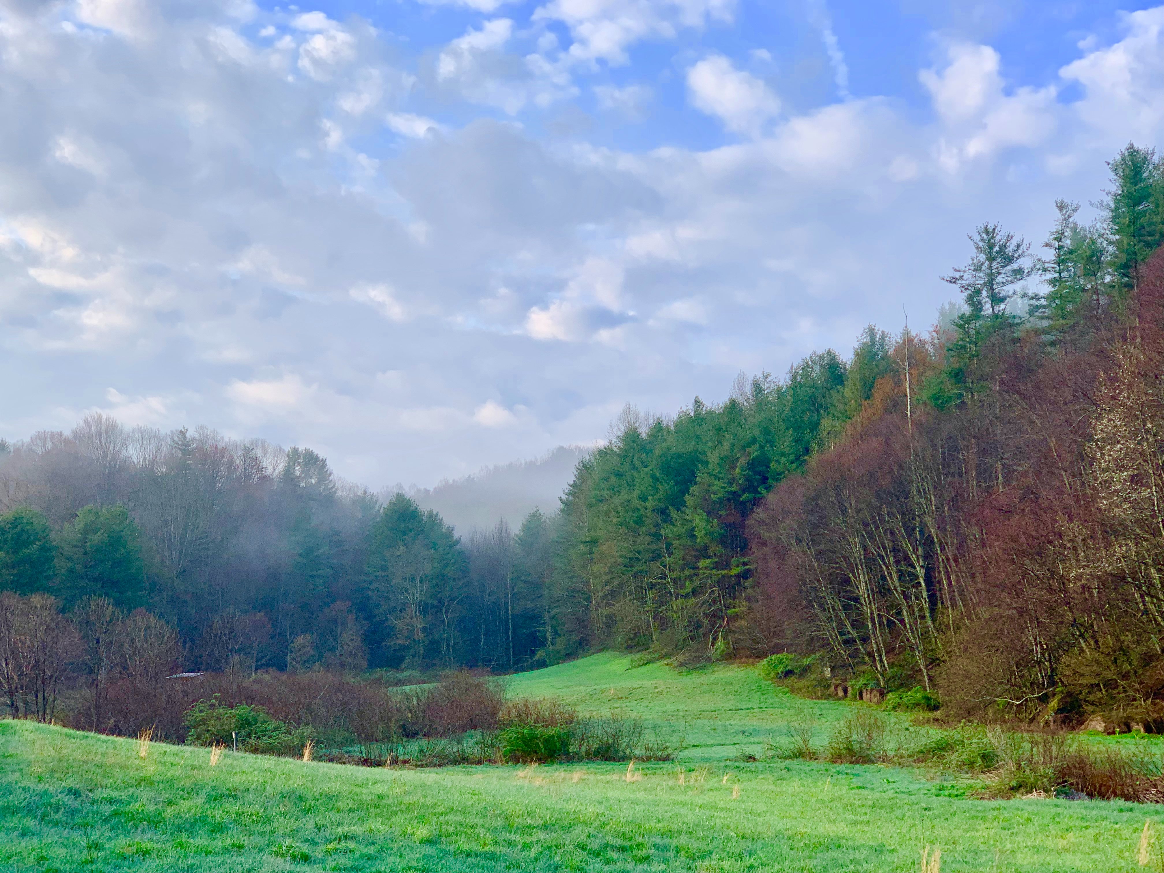 Ambrosia Farm-浴室