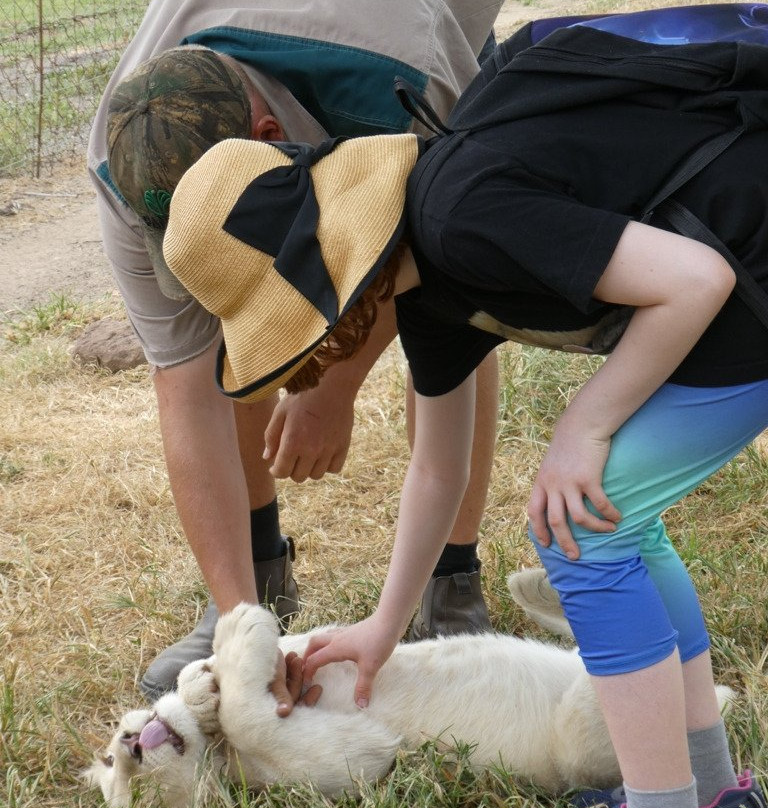 Weltevrede Lion Farm-Heilbron必去景点