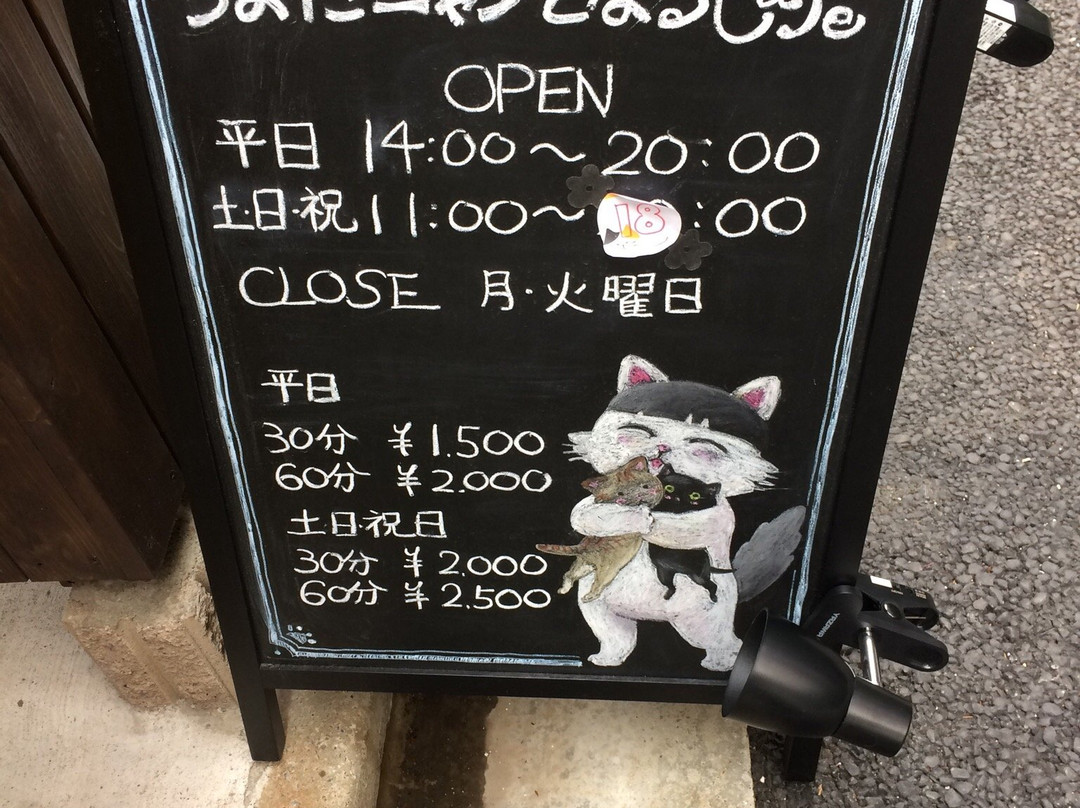 Chiyoda Nyan To Naru Cafe-千代田区必去景点
