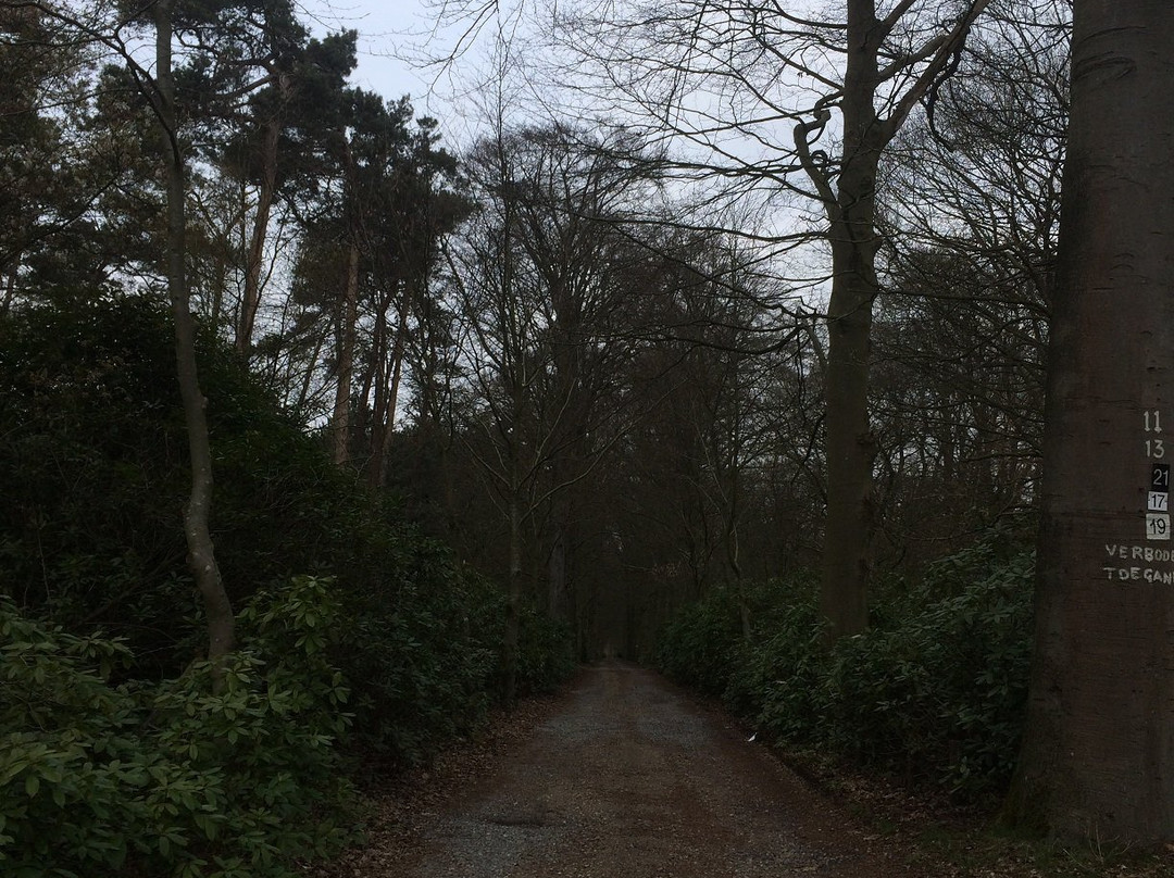 Heerle旅游攻略图片